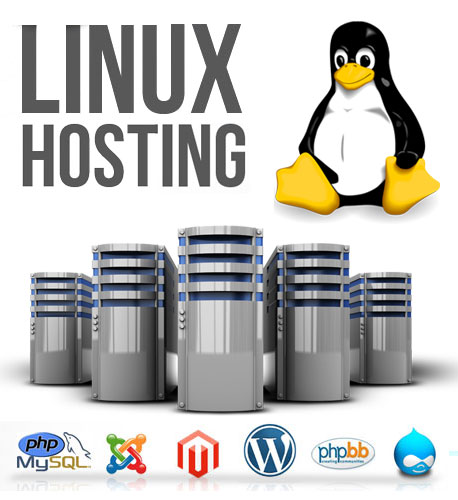 Linux Hosting Company