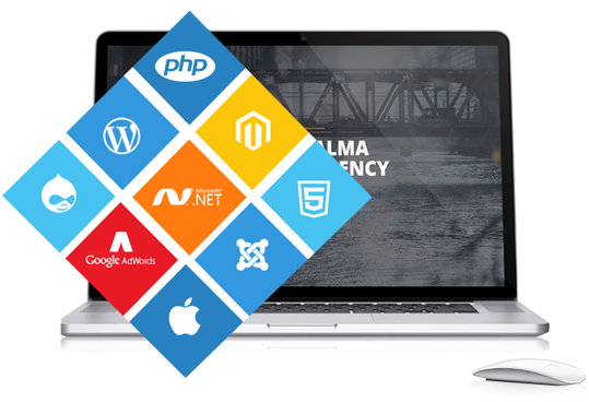 Website Development Company in Chandigarh